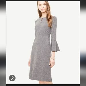 Ann Taylor Factory Bell Sleeve Heather Gray, knee length Size 8